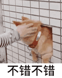 不错不错