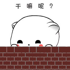 棉花球